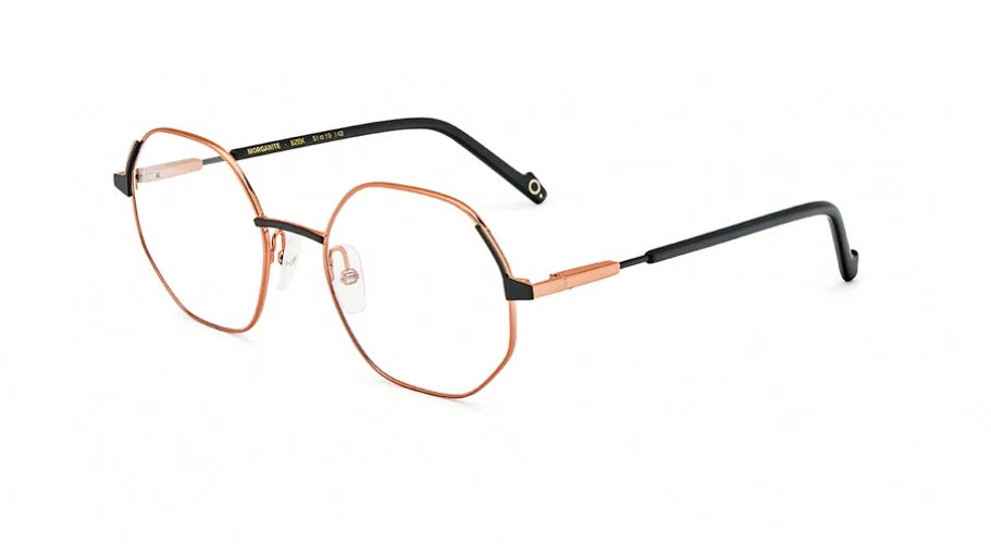 Etnia Barcelona MORGANITE Eyeglasses - view 24